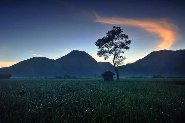 Mount Rinjani: Philosophy, Challenges, and Beauty of Sembalun Trail