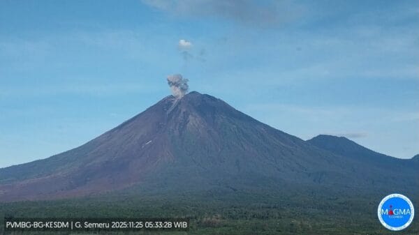 Gunung Semeru erupsi dengan tinggi letusan mencapai 1.000 meter di atas puncak pada Selasa (25/11/2025). Foto: Pusat Vulkanologi dan Mitigasi Bencana Geologi Kementerian ESDM