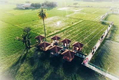 ILUSTRASI (ISTIMEWA)