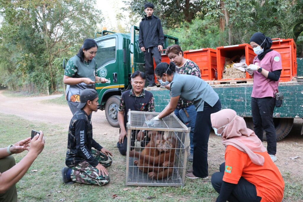 Thailand Pulangkan 4 Satwa Langka ke Indonesia sebagai Kado 75 Tahun Hubungan Diplomatik