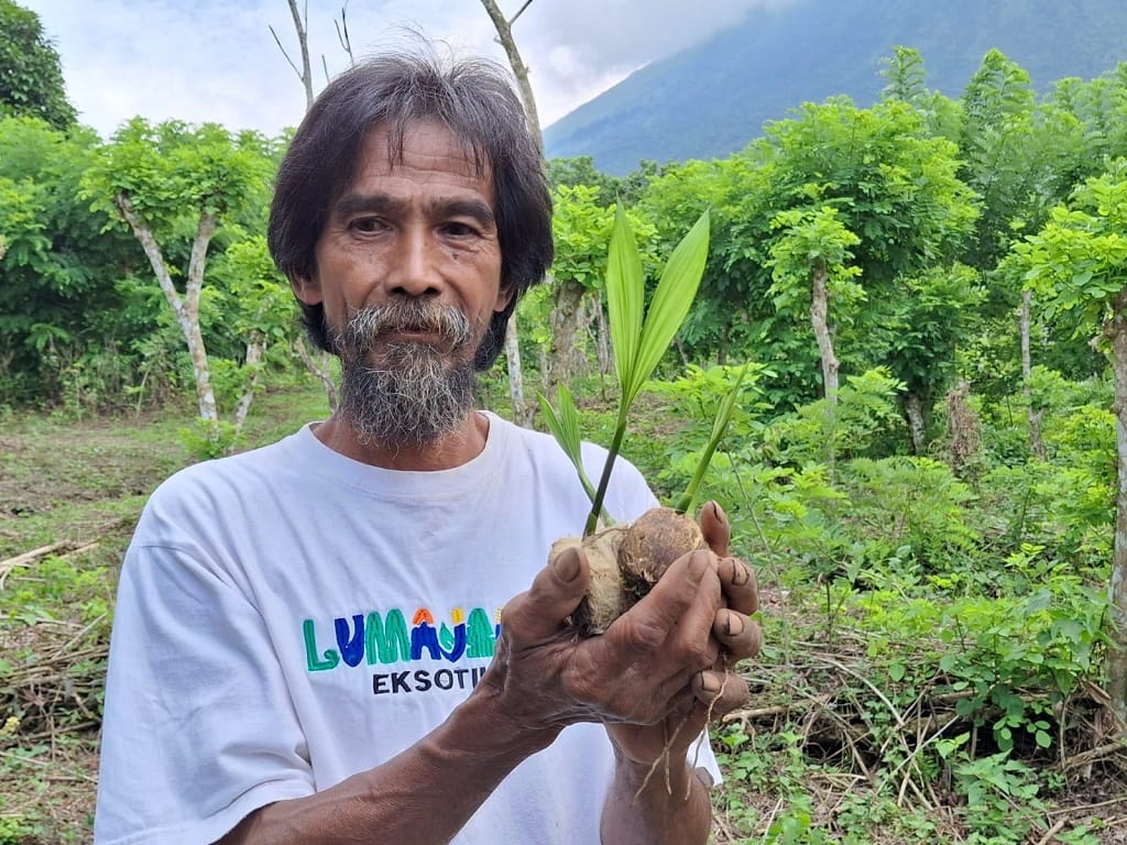 Jalan Sunyi Mbah Daim: Sosok di Balik ‘Sabuk Hijau’ Pinang Gunung Lemongan