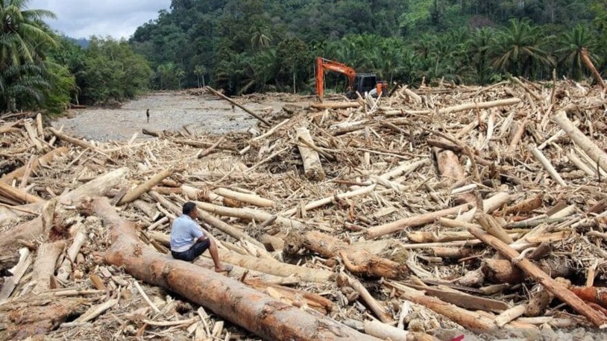 Usut Banjir Tapanuli, Aparat Gunakan Pasal TPPU dan Lingkungan Hidup untuk Jerat Mafia Kayu