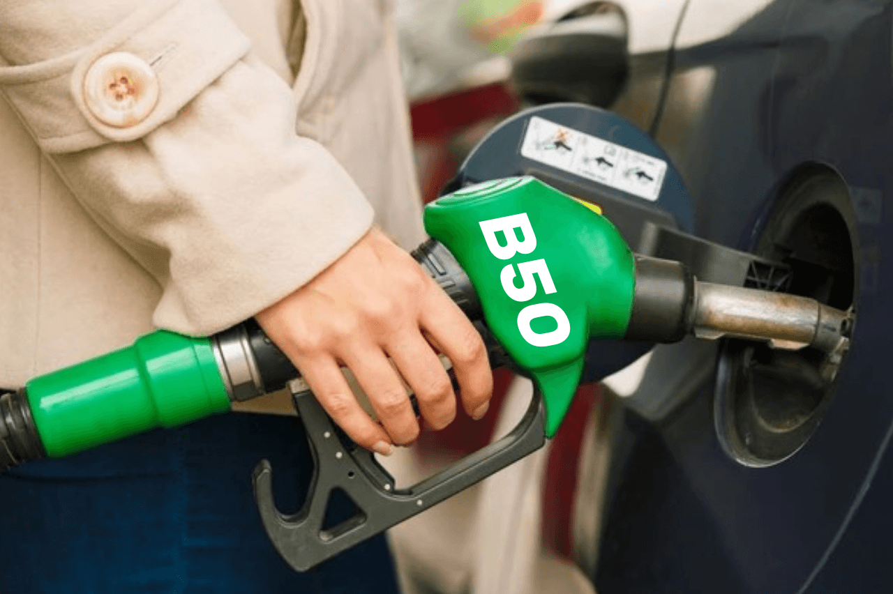 ILUSTRASI (istimewa)