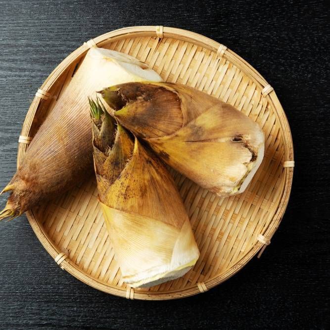 Rebung Bambu (istimewa)