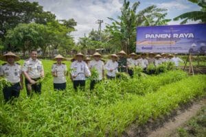 Lapas Kelas IIA Lombok Barat membuktikan bahwa dinding penjara bukan penghalang bagi kedaulatan pangan. Melalui Panen Raya Serentak yang dipantau langsung oleh Menteri Imigrasi dan Pemasyarakatan, Agus Andrianto, Lapas Lobar sukses mengonversi 1,5 hektare lahan tidur menjadi lumbung padi produktif. (GETNEWS./GET PLANET)