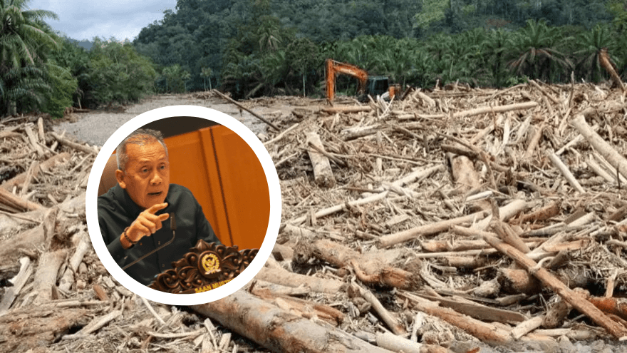 Menimbun Kayu atau Menimbun Masalah? Komedi Satir Birokrasi di Balik Banjir Aceh