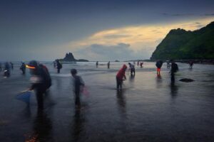 Traditional crowds at Seger Beach for Festival Bau Nyale 2026, showcasing the economic impact of Lombok's cultural heritage (QWADRU)