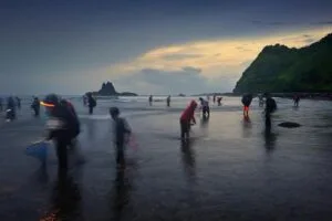 Traditional crowds at Seger Beach for Festival Bau Nyale 2026, showcasing the economic impact of Lombok's cultural heritage (QWADRU)