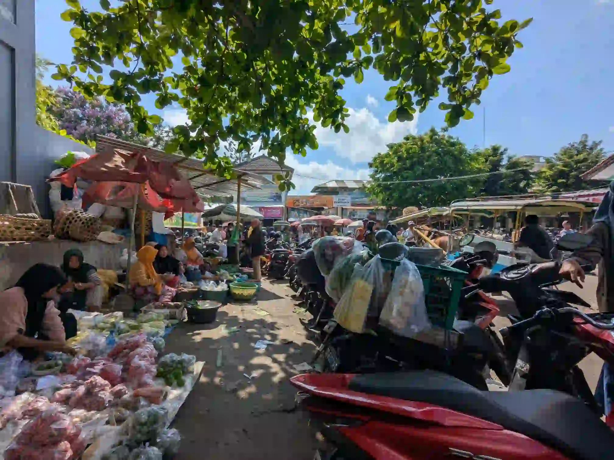 Sepekan terakhir, narasi mengenai harga cabai yang menembus angka psikologis Rp200.000 per kilogram telah menciptakan riak kegelisahan publik (GETNEWS)
