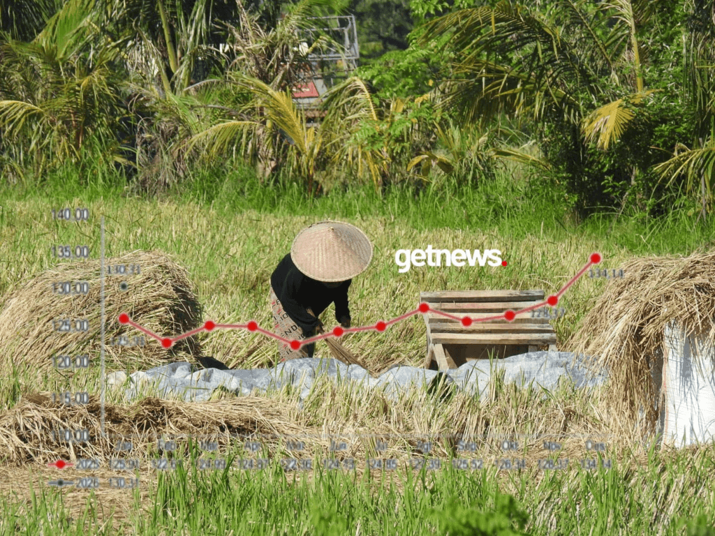 Paradoks Agraria di Nusa Tenggara Barat: Melimpah Namun Tertekan