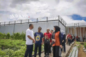 Peninjauan lahan cabai seluas 0,8 hektare di Lapas Lombok Barat oleh Ketua Dekranasda NTB (GETNEWS.)
