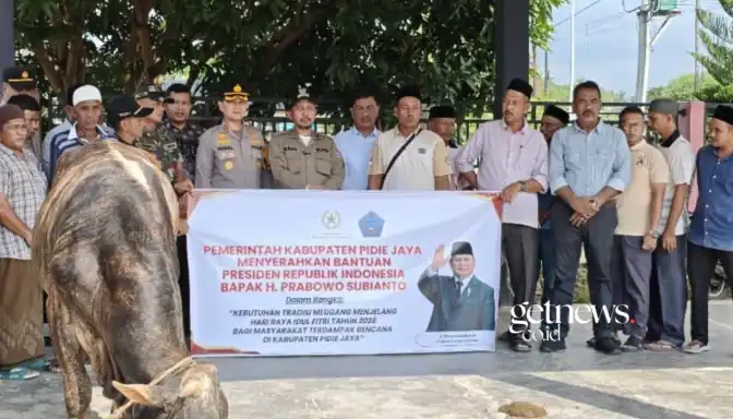 Sapi meugang lebaran Idulfitri 1447 H bantuan Presiden RI, Prabowo Subianto untuk gampong yang terdampak bencana banjir bandang dan longsor. (ist)