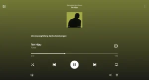 Teh Hijau TULUS (Screenshot Spotify)